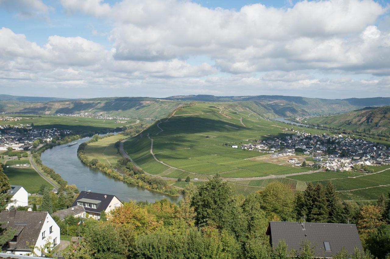 Gaestehaus-Weingut Loersch Лайвен Екстериор снимка
